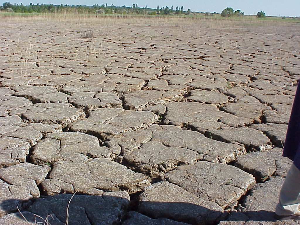 TENORM Pécsi rekultiváció Geotechnika és rekultiváció.