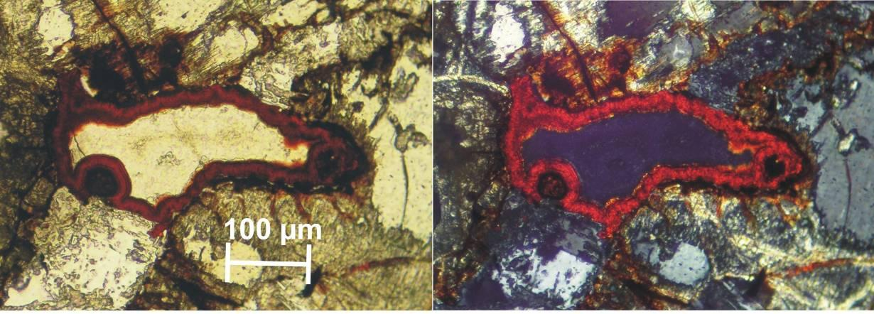 Az andezit vastartalmú ásványaiból (hipersztén) felszabaduló vasból hematit és limonit jöhet létre, amely ásványok széles körben elterjedtek a Kis-Sertés-hegy területén és a 47.