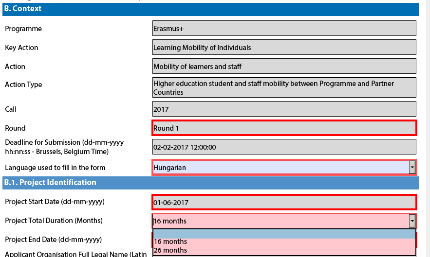 Kitöltés nyelve: - angol/ magyar/ EU hivatalos nyelve - angol nem kötelező, de tömörebb,