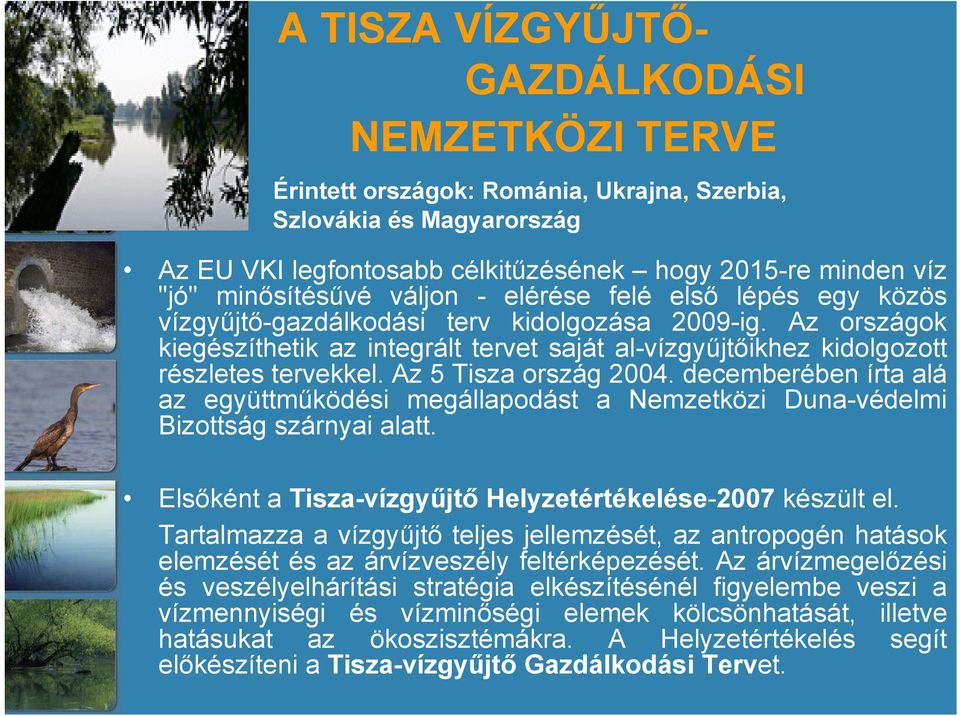 Az országok kiegészíthetik az integrált tervet saját al-vízgyűjtőikhez kidolgozott részletes tervekkel. Az 5 Tisza ország 2004.