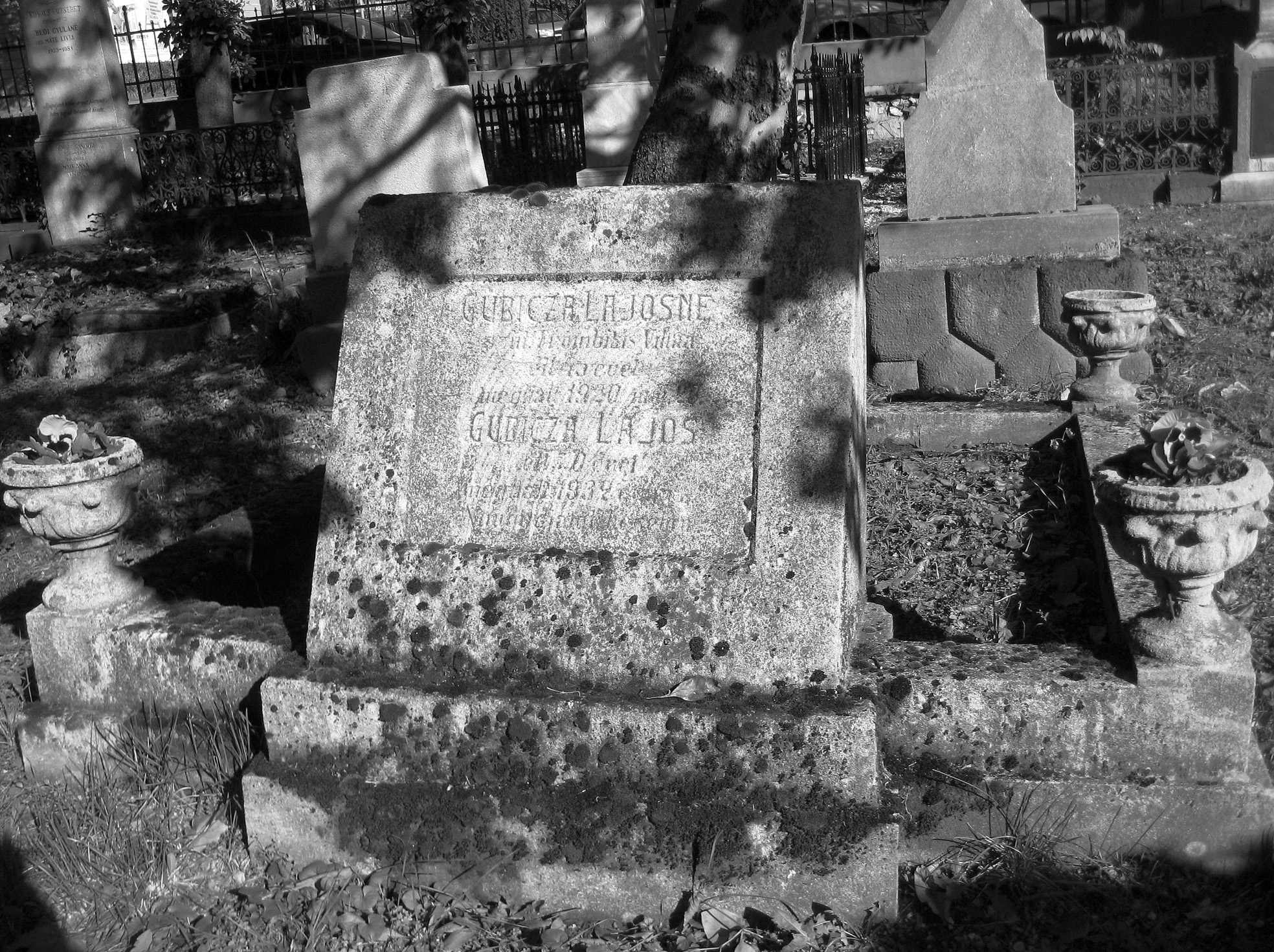 VESZPRÉMI SZEMLE 2013/2 Gubicza Lajos (1862 1932) és felesége, Trombitás Vilma (1871 1920) síremléke Veszprémben, az alsóvárosi temetőben hogy a bakonyszentlászlói ághoz tartozó Gubicza Eleonóra