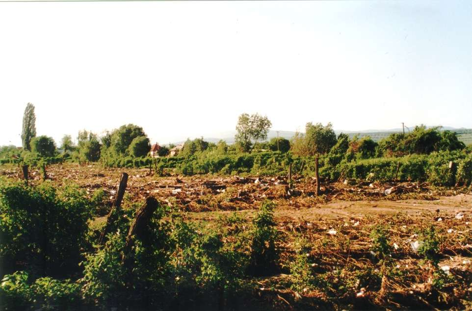 Mezőgazdasági terület