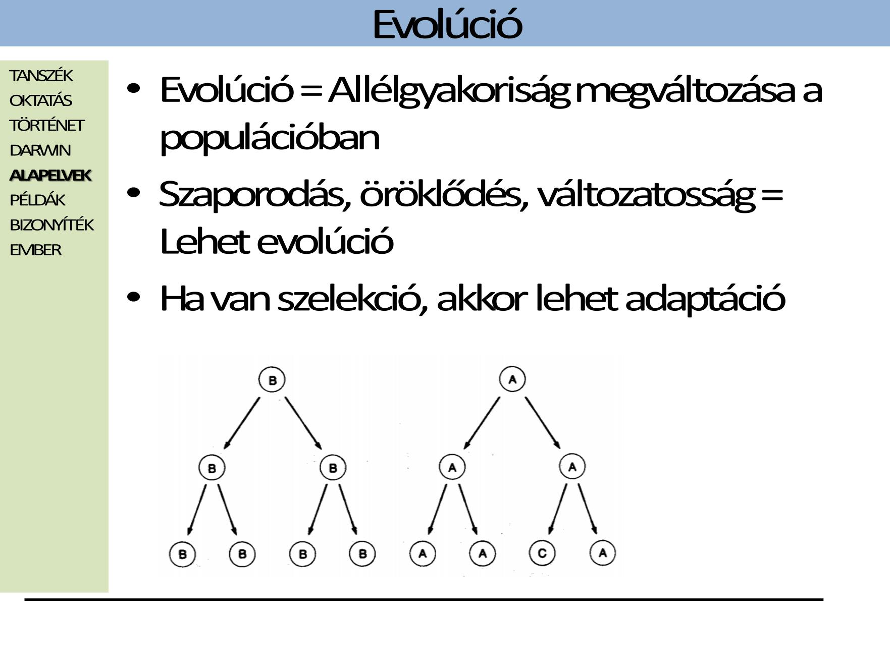 A lehet evolúció nem jelenti azt, hogy van is