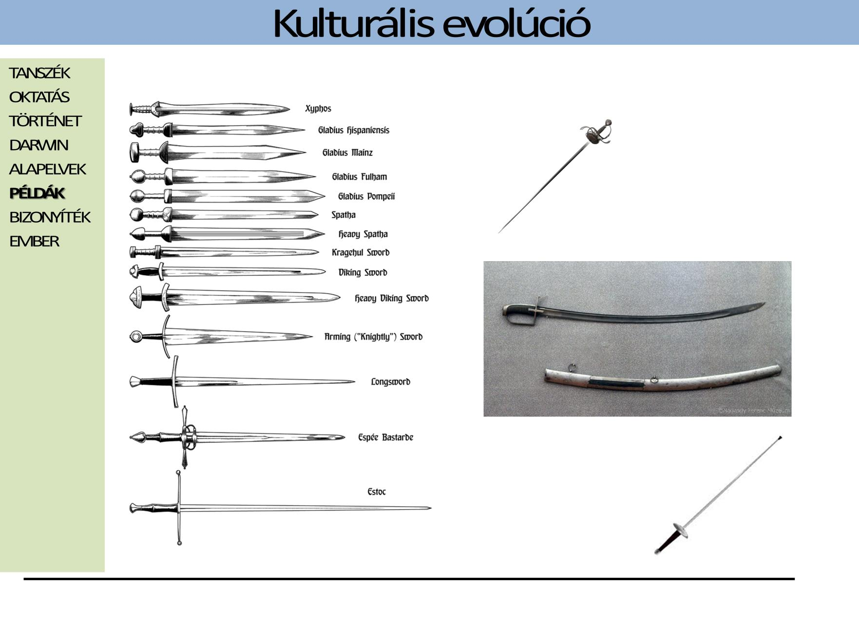 A kard formák, mint az emberi kultúra termékei, egy evolúciós folyamat révén alakulnak. A technikai fejlődés, a páncélok és a lőfegyverek fejlődése tetten érhető az elterjedt kard alakok változásában.