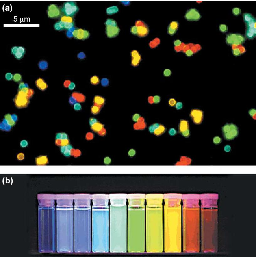 Fluoreszcens kvantumpöttyök (a) CdSe-ből ZnS borítással készült knavtumpöttyök fluoreszcenciamikroszkópos képe A kvantumpöttyök
