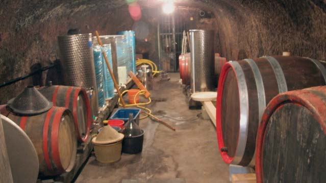 Bortechnológus felsőfokú szakképzés A képzés célja: olyan szakemberek képzése, akik átalakuló gazdasági viszonyaink mellett sokrétű és korszerű szaktudásuk alapján alkalmasak a hazai (és külföldi)