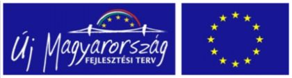 II. PÁLYÁZATI ÚTMUTATÓ a Társadalmi Megújulás Operatív Program keretében meghirdetett a Nagyvállalkozások általános képzéseinek támogatása a közép-magyarországi