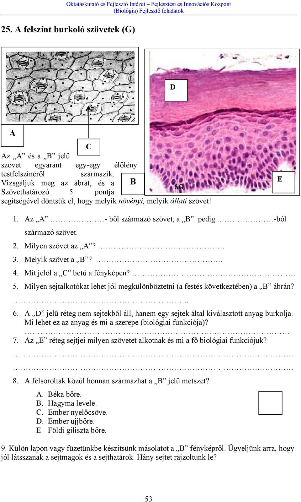 Sejtek és szövetek. ne/pictures/osteon.html - PDF Free Download