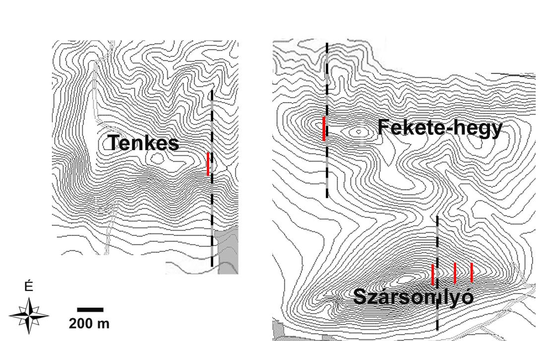 A terepen rögzített GPS-koordináták alapján, 1:10.000 méretarányú EOTR térképek fölhasználásával elkészítettem a vizsgált hegyek domborzati profilját ArcView GIS 3.2 (ESRI) segítségével.