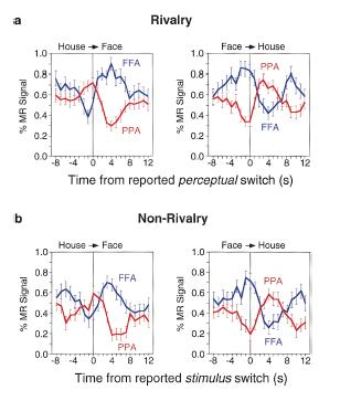 Nonprefer. Preferred 2016.10.21. fmri képalkotó technika A emberi agy kategóriákra érzékeny területei.