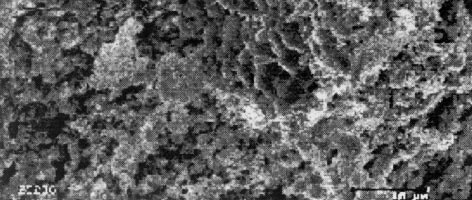 A [3] irodalomban a mintához a SrCO 3, Fe 2 O 3 és MoO 3 sztöchiometriai mennyiségét összekeverik, õrlik és kalcinálják 900 C-on 4 órán át levegõ-atmoszférában.