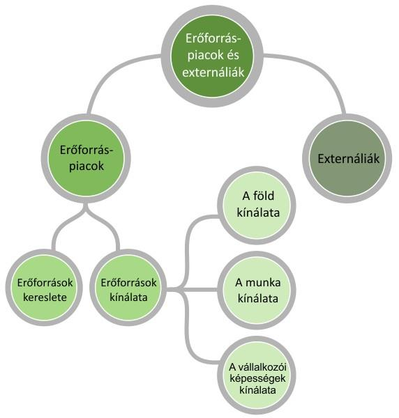 7. LECKE: ERŐFORRÁSPIACOK ÉS EXTERNÁLIÁK 7.