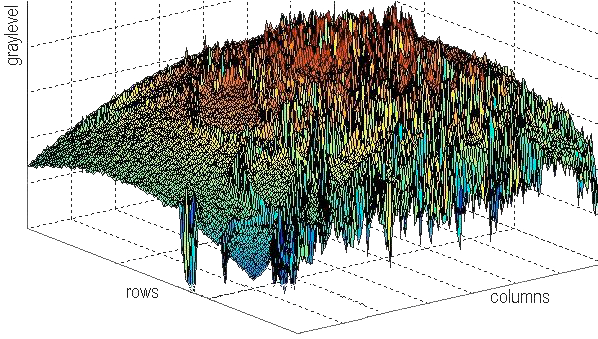 39. ábra. A 38. ábrán bemutatott TEM felvételből származtatott 3D reprezentáció Bár ez a módszer a legtöbb esetben alkalmazható, a nanocsövek esetén nem eredményezett megfelelő minőségű képet.