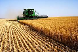 Erősségeink a kínai piacon A magyar mezőgazdaság ismert, jó híre van Fejlett menedzsment módszerek Régi, jó kapcsolat az