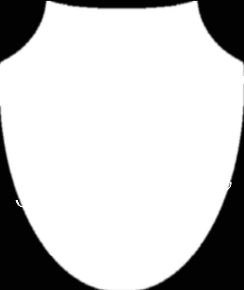 SZERVEZETI ÉS