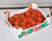 zöldség Cékla, hosszúkás 1,5 /háló magyar 1 : 166,- 196, 06 249,- Chili paprika tricolor 250 g spanyol Zöld, piros vagy sárga lamuyo paprika 5 /karton spanyol 1 : 2396,- 471, 65 599,- 1 : 1099,-