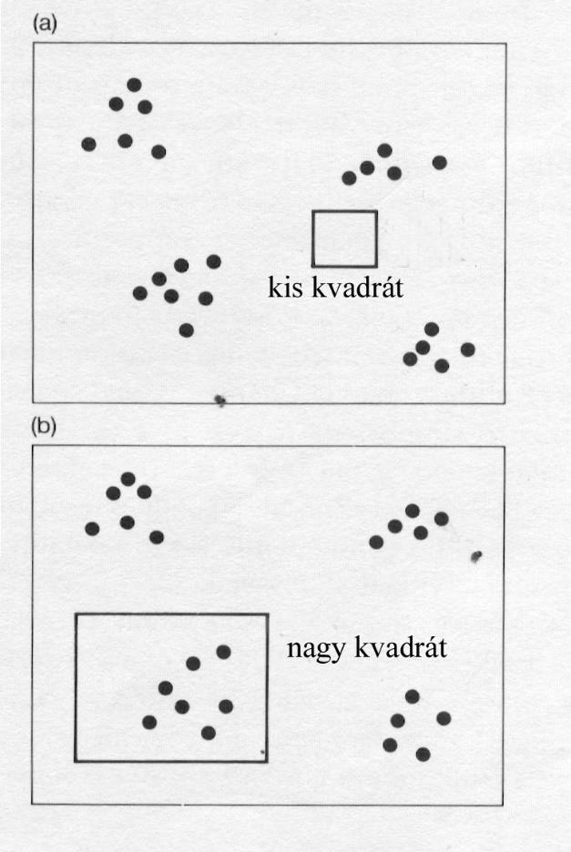 Fiziognómiai szerkezet: horizontális foltmintázat Fajszám-telítési görbék, minimum area A