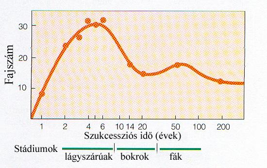 A szukcesszió