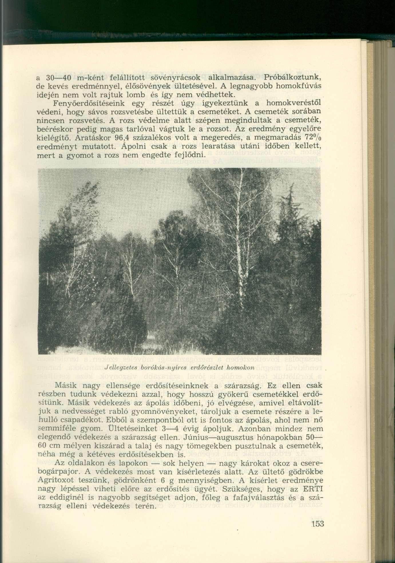 a 30 40 m-ként felállított sövényrácsok alkalmazása. Próbálkoztunk, de kevés eredménnyel, élősövények ültetésével. A legnagyobb homokfúvás idején nem volt rajtuk lomb és így nem védhettek.