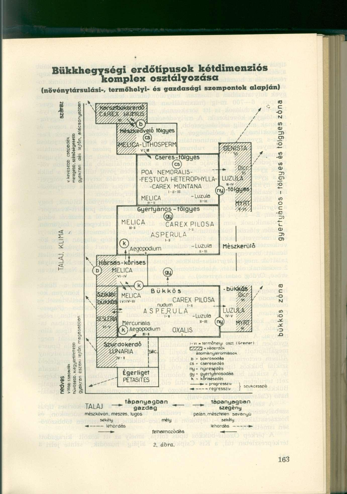 Bükkhegységi erdőtípusok kétdimenziós komplex osztályozása (növénytársulási-, termőhelyi- és gazdasági szempontok alapján) I a ö 1 - rf) ű S ü o Q)» L I I s 3 e 3 <0 c -o tsl CO QJ zn CT> :0 <o -<D