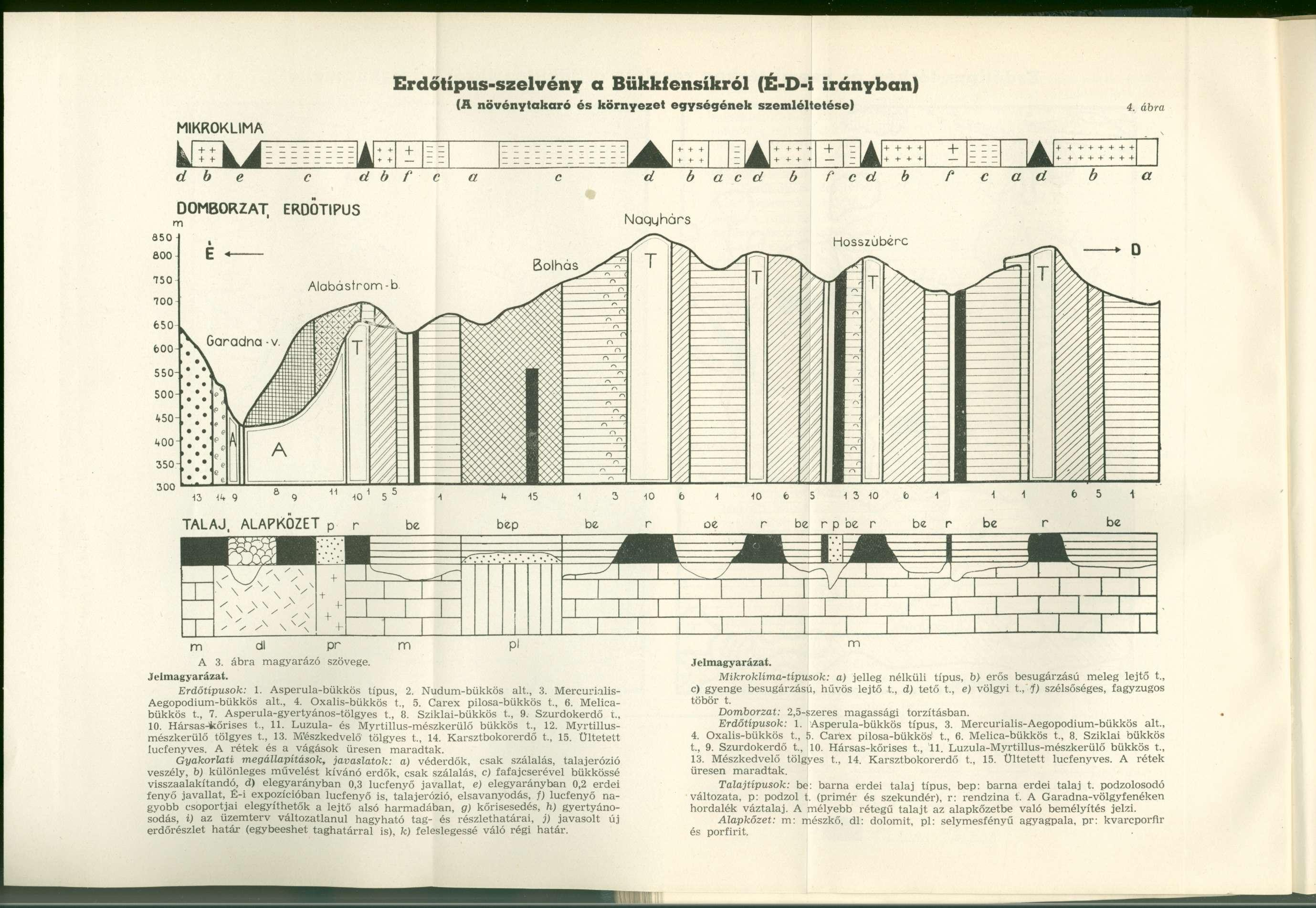 MIKROKLÍMA k + + t + A + Erdőtípus-szelvény a Bükkfensíkról (É-D-i irányban) (A növénytakaró és környezet egységének szemléltetése) 4.