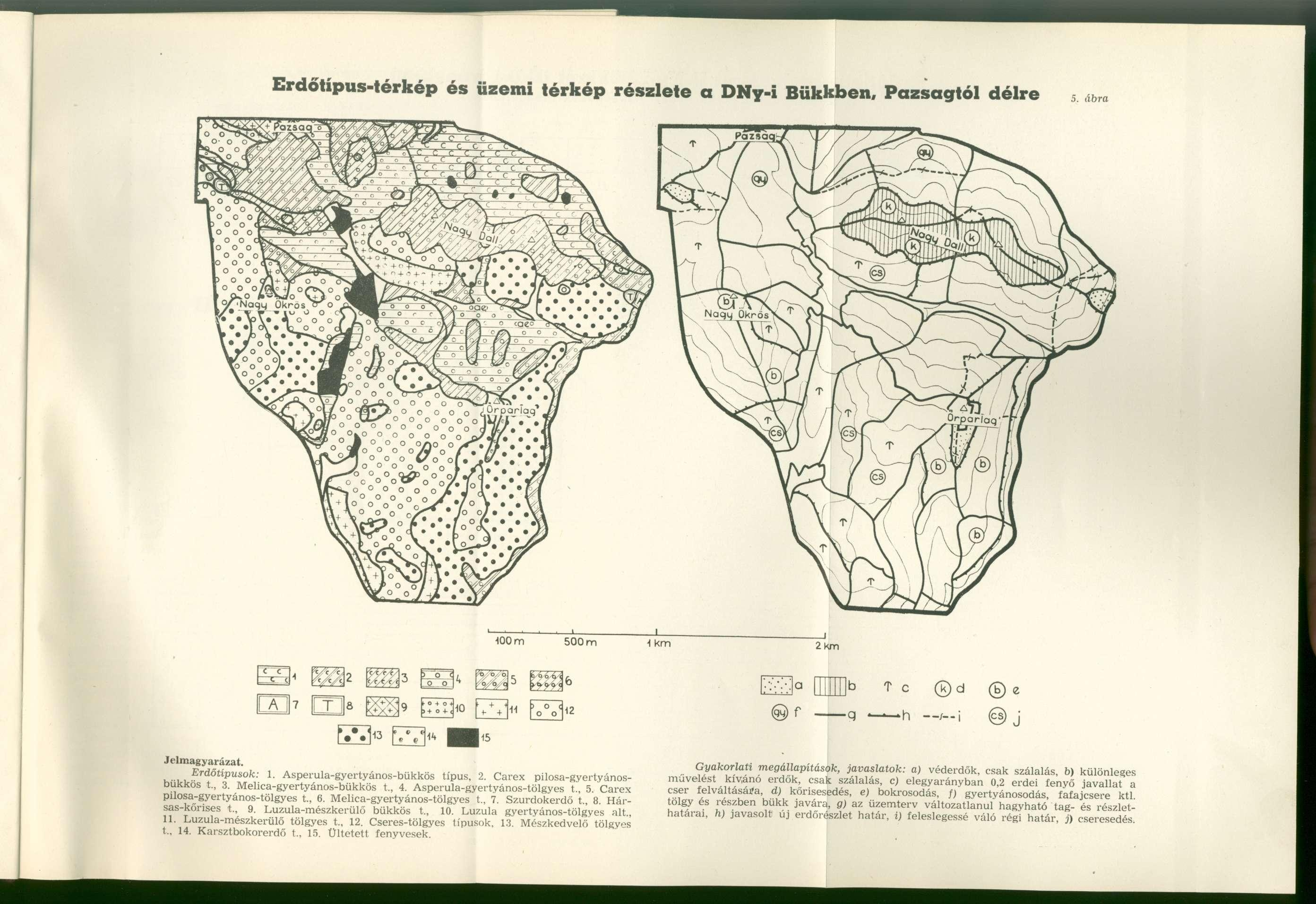 Erdőtípus-térkép és üzemi térkép részlete a DNy-i Bükkben, Pazsagtól délre 5. ábra 100 m 500 m 1 km 2km Jelmagyarázat. 3Z3 A C D 8 * «i e e 14 o + o * b+ o + J \ + + + p o d o o....,. E r d ő í í p M s ü f e ; Asperula-gyertyános-bükkös típus, 2.