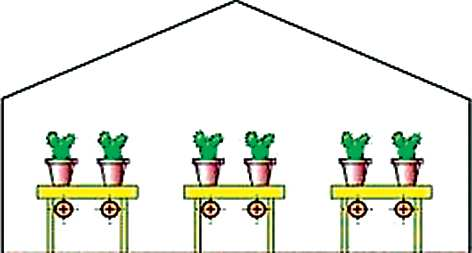 Növényházak vegetációs
