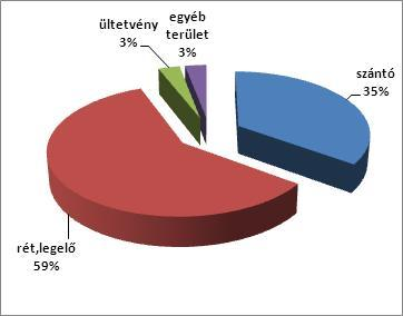 A hazai bio/ökotermesztés nagyságrendjének alakulása az említett országokhoz képest hasonló tendenciát mutat az elmúlt 20 évben. Míg 1991-ben Magyarországon csupán 3.