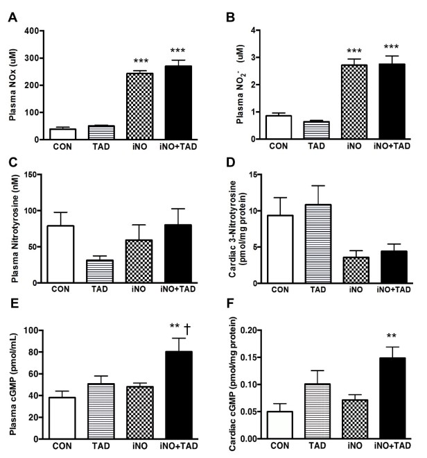 közel megduplázódott az ino+tad kezelés után (80±12 pmol/ml [n=7], P<0.01 vs CON és ino, P<0.05 vs TAD). 3. Ábra.