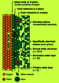 Az elektromos kettősréteg szerkezete Egy pozitívan töltött fémoxid felületen a vizes oldatban lévő ionokból az anionok közvetlenül szorbeálódnak a felületen, ami a felület áttöltését