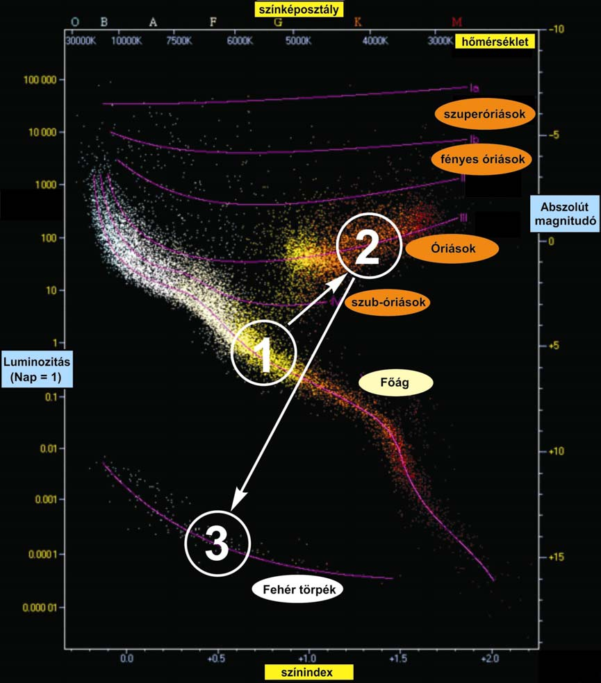 1. előadás: A Föld keletkezése 3. ábra: A Nap-méretű csillagok fejlődéstörténete a Hertzsprung-Russell diagramon 1: főág, : vörös óriás, 3: fehér törpe.
