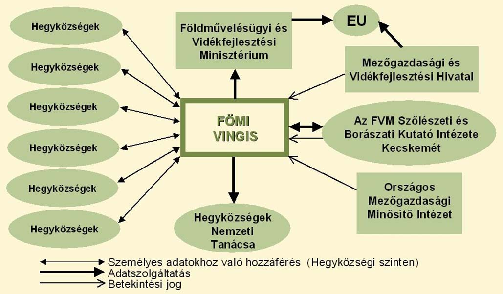 Szervezeti