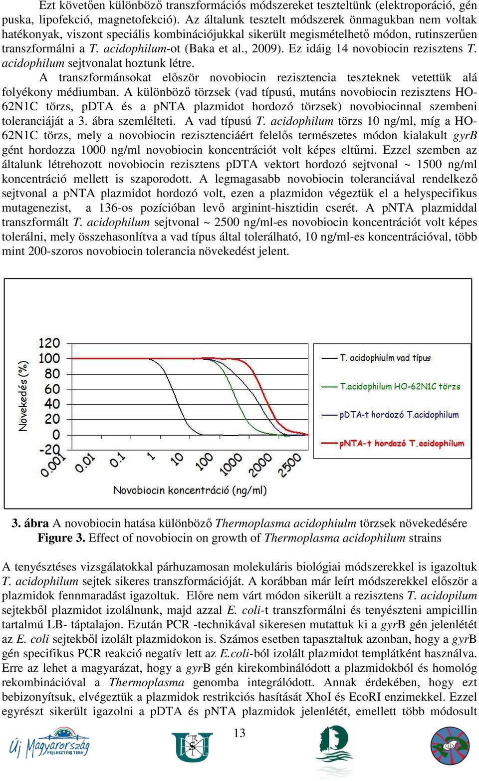 Ez idáig 14 novobiocin rezisztens T. acidophilum sejtvonalat hoztunk létre. A transzformánsokat elıször novobiocin rezisztencia teszteknek vetettük alá folyékony médiumban.