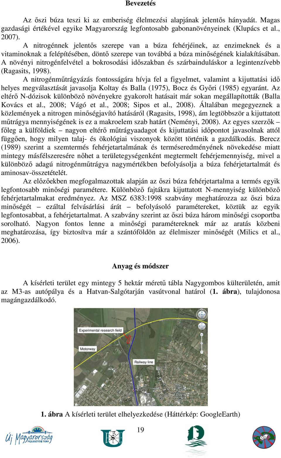 A növényi nitrogénfelvétel a bokrosodási idıszakban és szárbainduláskor a legintenzívebb (Ragasits, 1998).