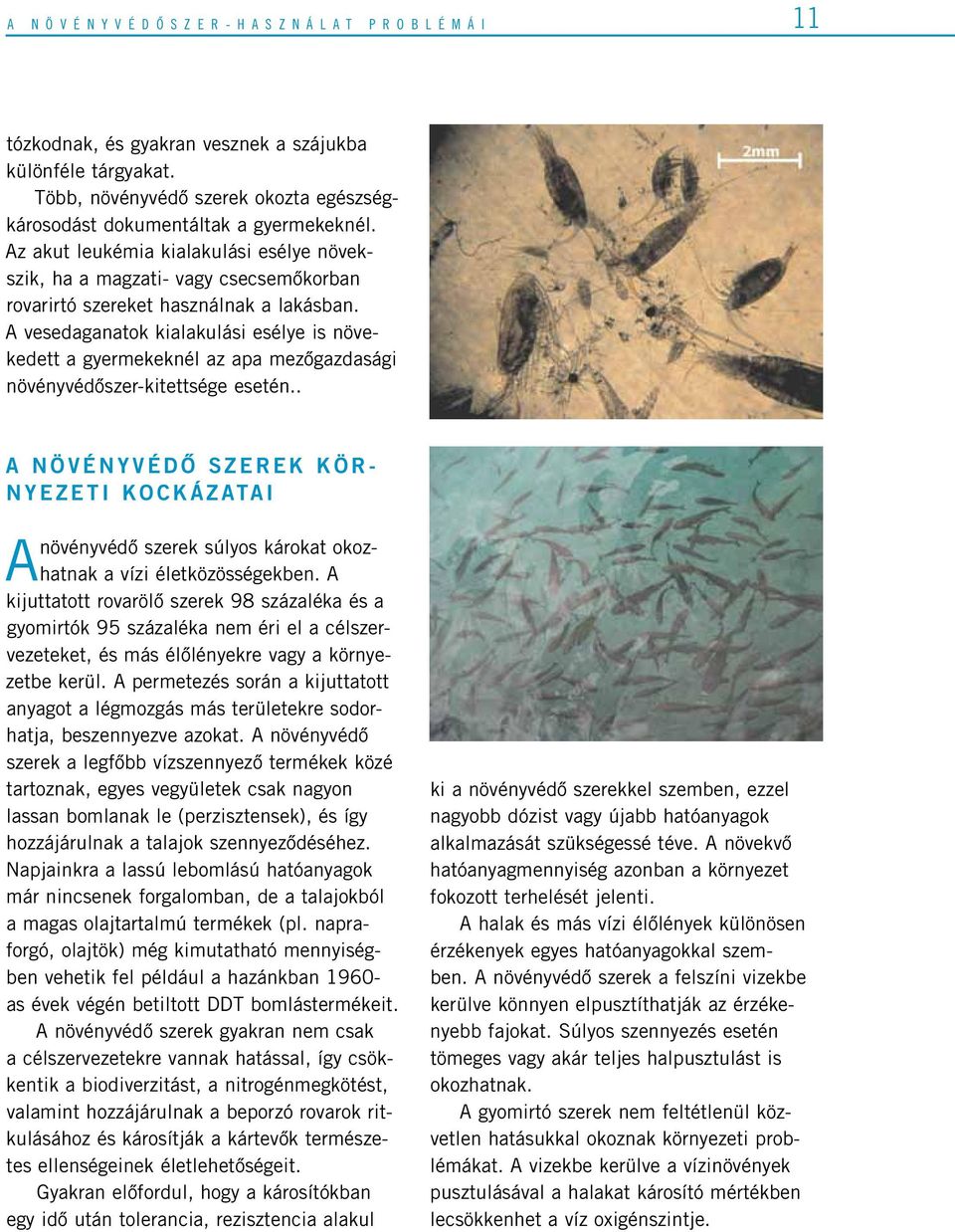 Az akut leukémia kialakulási esélye növekszik, ha a magzati- vagy csecsemôkorban rovarirtó szereket használnak a lakásban.