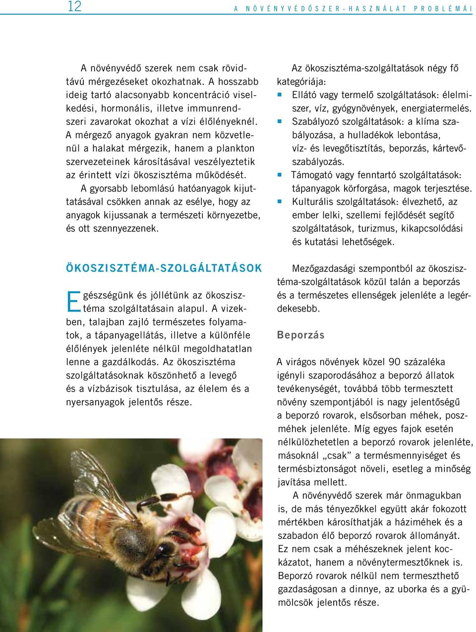 A mérgezô anyagok gyakran nem közvetlenül a halakat mérgezik, hanem a plankton szervezeteinek károsításával veszélyeztetik az érintett vízi ökoszisztéma mûködését.