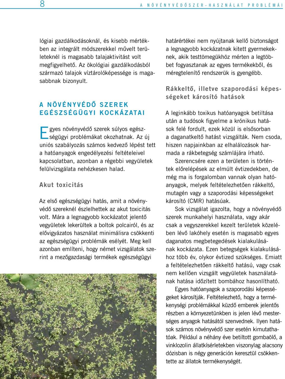 A n ö v é n y v é d ô s z e r e k e g é s z s é g ü g y i k o c k á z ata i Egyes növényvédô szerek súlyos egészségügyi problémákat okozhatnak.