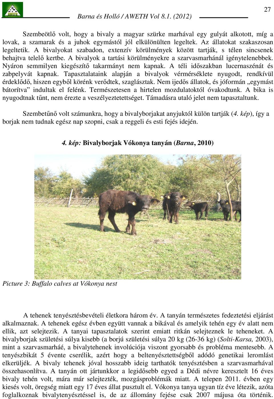 Nyáron semmilyen kiegészítı takarmányt nem kapnak. A téli idıszakban lucernaszénát és zabpelyvát kapnak.