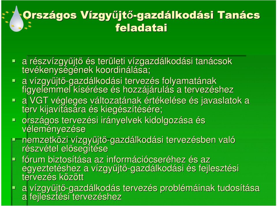 és s kiegész szítésére; országos tervezési irányelvek kidolgozása és véleményezése nemzetközi zi vízgyv zgyőjtı-gazdálkodási tervezésben való részvétel elıseg segítése fórum biztosítása sa az