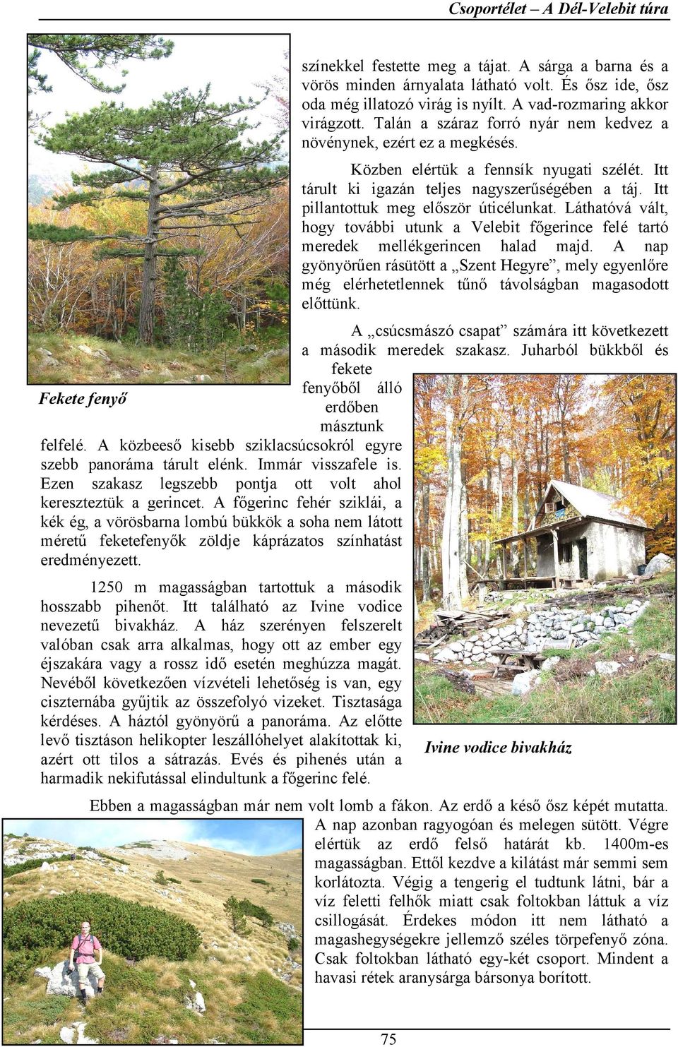 Itt pillantottuk meg először úticélunkat. Láthatóvá vált, hogy további utunk a Velebit főgerince felé tartó meredek mellékgerincen halad majd.