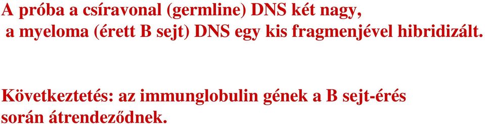 fragmenjével hibridizált.