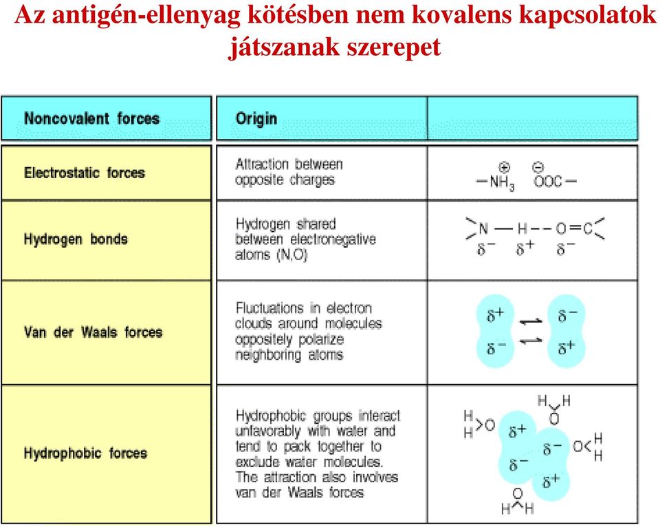 kötésben nem
