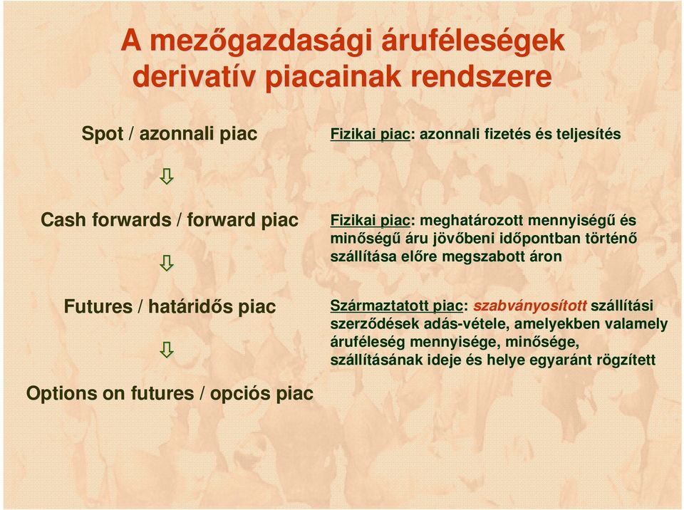 időpontban törtt rténő száll llítása előre megszabott áron Származtatott piac: szabványos nyosított száll llítási szerződések sek