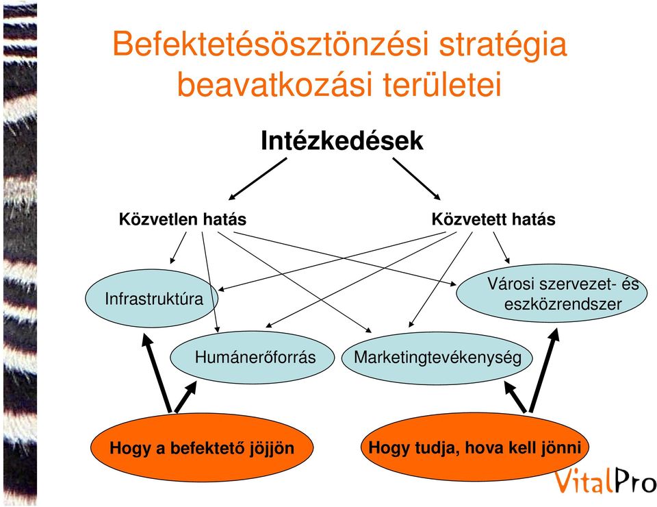 Városi szervezet- és eszközrendszer Humánerőforrás