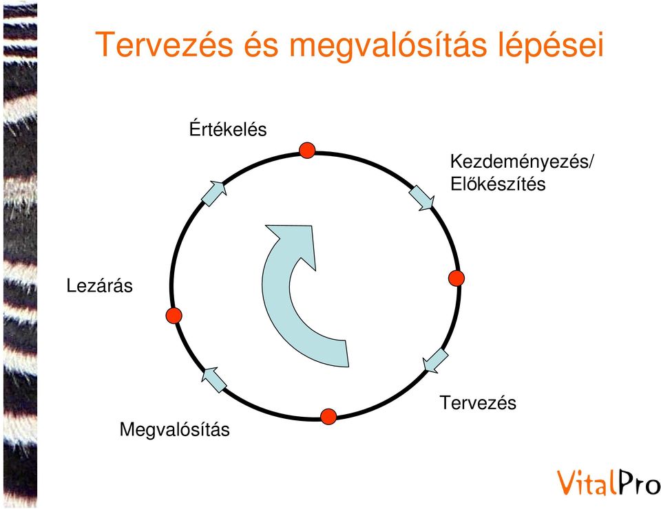 Kezdeményezés/