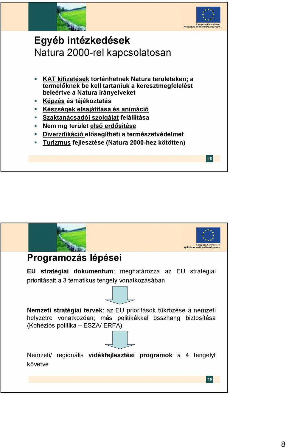 (Natura 2000-hez kötötten) 15 Programozás lépései EU stratégiai dokumentum: meghatározza az EU stratégiai prioritásait a 3 tematikus tengely vonatkozásában Nemzeti stratégiai tervek: az EU