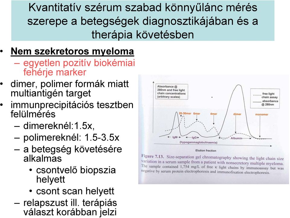 target immunprecipitációs tesztben felülmérés dimereknél:1.5x, polimereknél: 1.5-3.