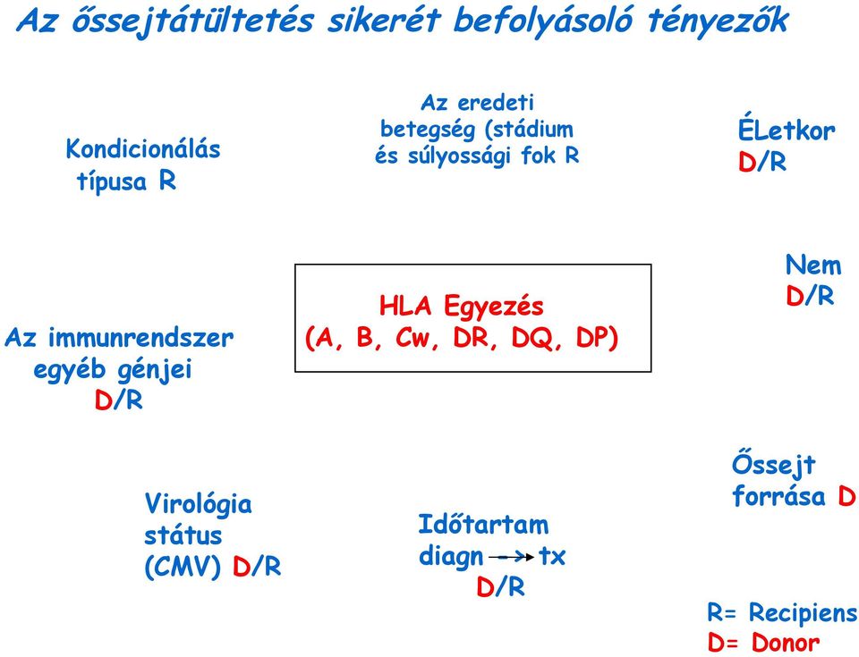 betegség (stádium és súlyossági fok R HLA Egyezés (A, B, Cw, DR, DQ, DP)