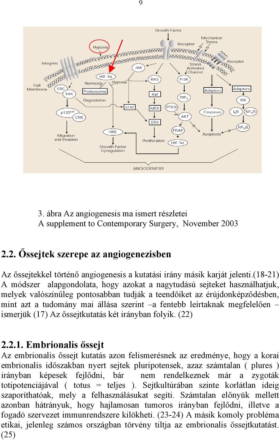 (18-21) A módszer alapgondolata, hogy azokat a nagytudású sejteket használhatjuk, melyek valószínűleg pontosabban tudják a teendőiket az érújdonképződésben, mint azt a tudomány mai állása szerint a