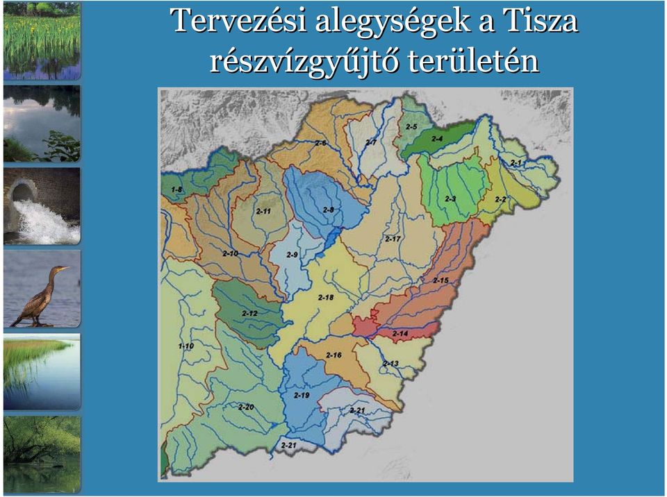 a Tisza